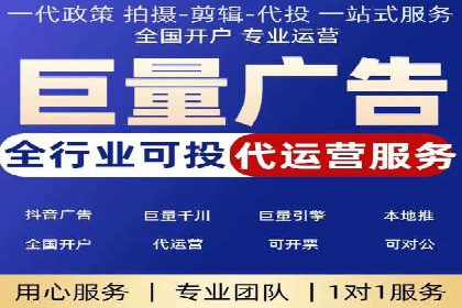 成功SEM服务案例分析报告